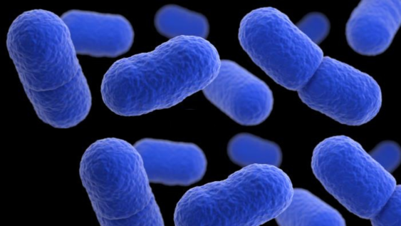 Listeriosis outbreak under investigation


People in 